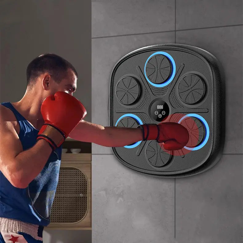 Music Boxing Target Training Wall Target Fitness Equipment Metasport