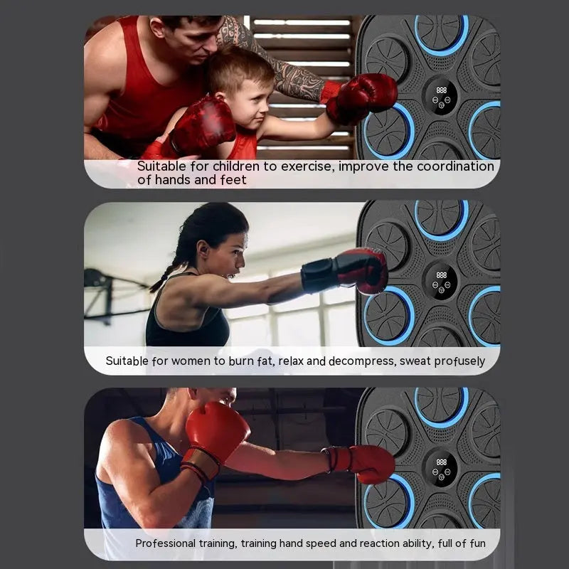 Music Boxing Target Training Wall Target Fitness Equipment Metasport