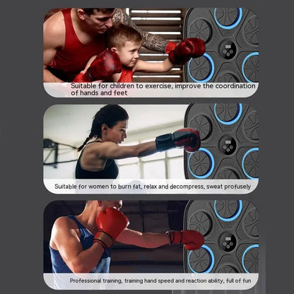 Music Boxing Target Training Wall Target Fitness Equipment Metasport